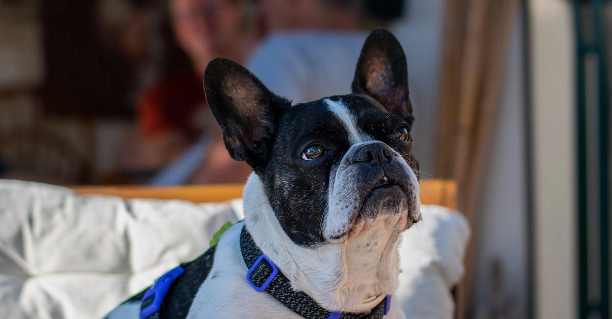 Схема программы лояльности онлайн-казино без депозита